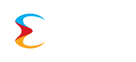روکش پے partner logo